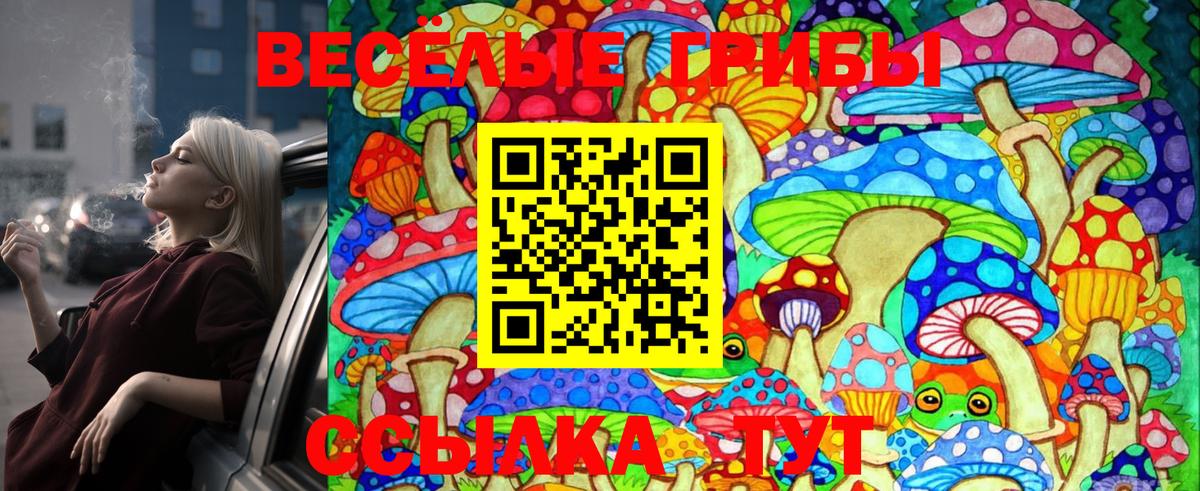 Кушва  Псилоцибиновые грибы Psilocybe  Галлюциногенные грибы Magic Shrooms  Вход с VPN 