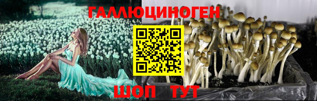 Галлюциногенные грибы мицелий Кушва